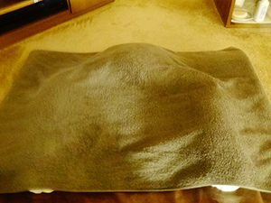 田園調布・メンズエステ「アロマギルド」のうつ伏せマッサージ