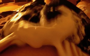 小伝馬町・メンズエステ「Berryz Spa～ベリーズスパ～」の泡泡マッサージ 