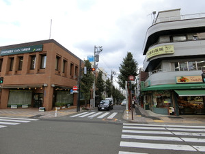田園調布・メンズエステ「アロマギルド」への道のり