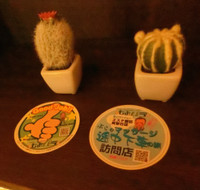 新宿メンズエステで骨抜きになった体験談