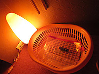 歌舞伎町洗体エステの照明