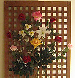 歌舞伎町アジアンエステでリラクゼーション