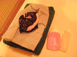 鶯谷発・風俗エステ「人妻ヒップライン」の体験談のイメージ