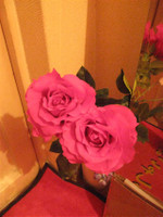 東新宿チャイエスの店内