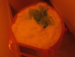 西新宿アジアンエステの泡泡